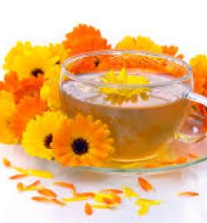 Čaj od cveta nevena 50g Institut Josif Pančić deluje protivupalno, antiseptično, ublažava grčeve, zaustavlja krvarenja, za zarastanje rana, regeneriše kožu.